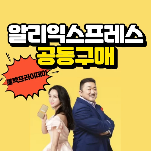 알리익스프레스 블랙프라이데이 특별 공동구매